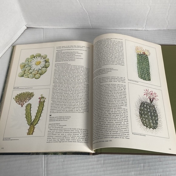The Time Life Encyclopedia of Gardening Cacti Succulents Temp & Characteristics - Picture 9 of 15